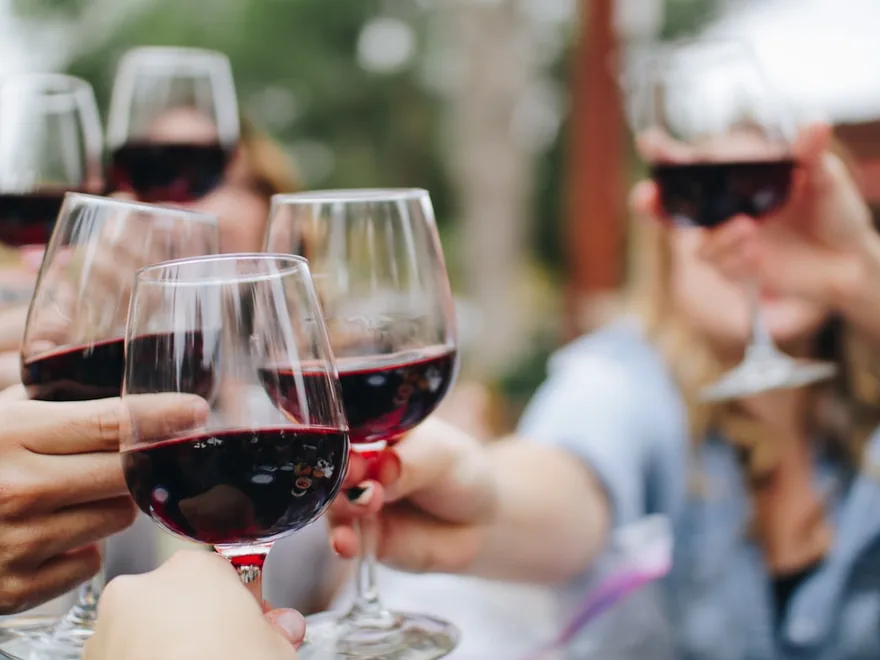 Guests raising wine glasses in a toast.